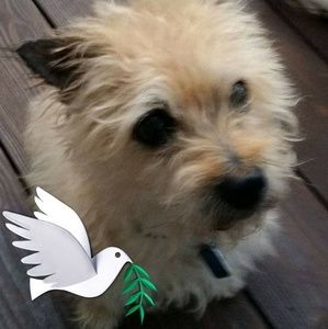 Meet your Posher, Gloria